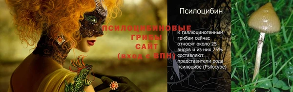 первитин Алексин