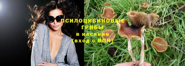 Альфа ПВП Покачи