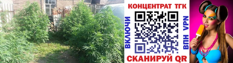 купить наркотик  Лермонтов  Дистиллят ТГК вейп 