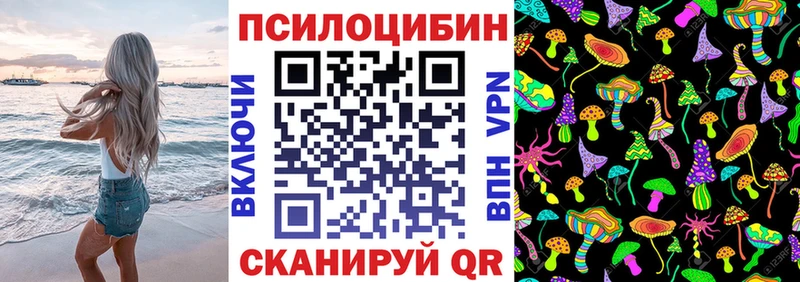 купить   Лермонтов  Псилоцибиновые грибы ЛСД 